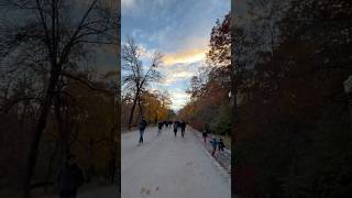 LC vlog｜views in mont royal travel montreal canada [upl. by Killam14]