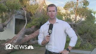 Scottsdale apartment complex damaged by falling tree during storm [upl. by Redep687]