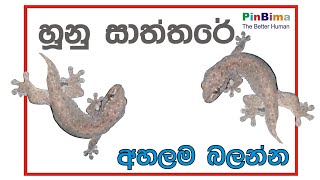 Hunan Angata Vetime Palapala හූනන් ඇඟට වැටීමේ පලාපල [upl. by Naoh908]