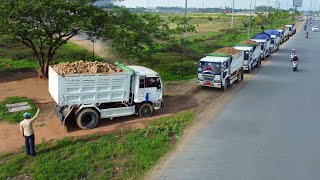 Processing Filling Up Land by 5Ton dump truck amp technique Dozer D37P KomatSu Working Mix VDO [upl. by Nryhtak]