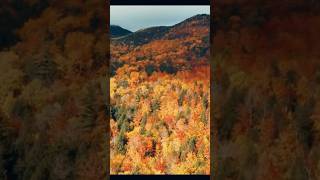 The Adirondack Mountains Upstate NY 🍂🇺🇸 usa newengland travel travelguide destination [upl. by Sonnie]