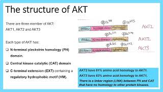 Understanding Cancer Lecture 8 PI3KAKTmTOR pathway normal and dysregulated [upl. by Nalani]