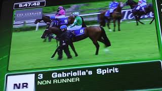 20240524 Friday The Tattersalls Irish Guineas Festival video 3 [upl. by Ellenej]