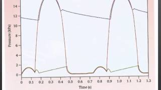 AS level G10 Control of the cardiac cycle Ms Cooper [upl. by Maddock530]