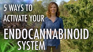 5 Ways to Activate Your Endocannabinoid System  CBD Series [upl. by Cariotta]