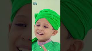 14th August Status Video  Pakistan National Song  Sahil Raza Qadri [upl. by Darton714]