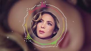 Shakira Fuerza Regida  El Jefe Lyrics [upl. by Christi228]