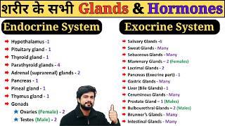 Endocrine and Exocrine System Glands amp Hormones in Hindi  Anatomy and Physiology [upl. by Yhtamit692]