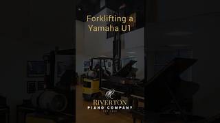 Forklifting a 500lb Yamaha U1  Riverton Piano Company Yamaha piano U1 [upl. by Leanahtan826]