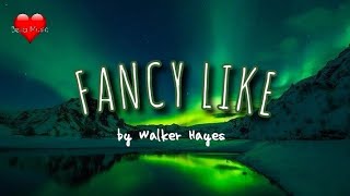 FANCY LIKE LYRICS by Walker Hayes [upl. by Saito]