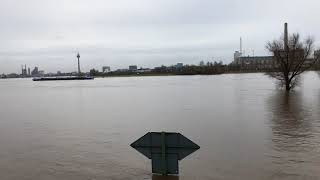 Rheinhochwasser bei Düsseldorf Januar 2018 [upl. by Stag]