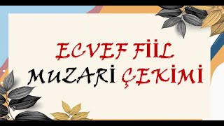 ECVEF FİİL MUZARİ ÇEKİMİ Detaylı Anlatım [upl. by Erbua]