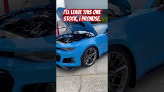 Magnuson Powered Gen 6 ZL1 Camaro Full Bolt On Build [upl. by Akirea352]