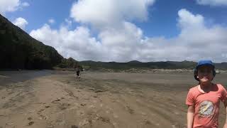 Exploring the stunning beauty of Bethells Beach part 3🌊✨ BethellsBeach NZAdventures BeachVibes [upl. by Aryamoy909]