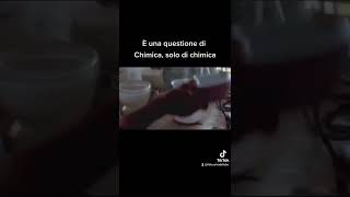 È una questione di Chimica  Ditonellapiaga e Rettore feat Breaking Bad  Sanremo 2022 [upl. by Avir]