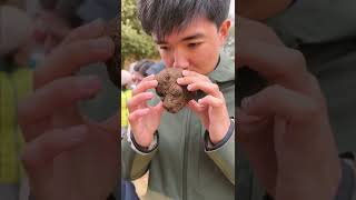 Truffle Hunting in Australia [upl. by Funk168]