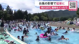 8月12日月 北海道 お昼のニュース [upl. by Stephenie]