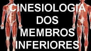 Cinesiologia dos membros inferiores [upl. by Uokes]