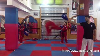 Taekwondo  720 kick  Martial Arts Tricking [upl. by Alleyn]