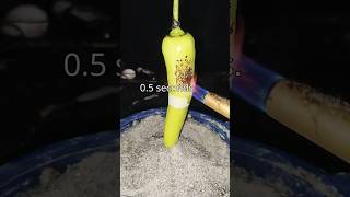 Powerful Lighter vs Green Pepper 🔥 lighter shorts 87 [upl. by Ssac]