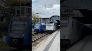 Br186 und Vlexx🌚 music trainspotting zug train hobby fyp  Mainz  OXGamingzockt [upl. by Ettennal799]