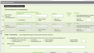 ELSTER  ELSTER ONLINE  ElsterFormular  ELSTER Online Steuererklärung  ELSTER Steuererklärung [upl. by Adelind]