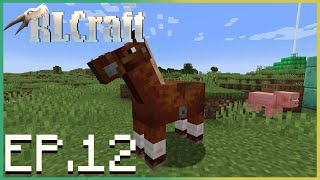 RLCraft in 2024 EPISODE 12 [upl. by Wilber]