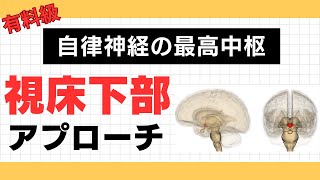 【視床下部アプローチの重要性】視床下部のホルモン、働き、自律神経の最高中枢 [upl. by Brott]