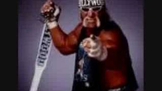 Hollywood Hulk Hogan wcw theme [upl. by Feldman]