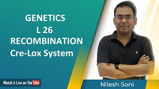 Recombination  Cross Over  Cre Lox System Nilesh Soni [upl. by Anihpesoj]