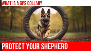 Keep Your German Shepherd Safe GPS Collars for Peace of Mind [upl. by Oigile]