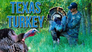 TURKEY HUNTING  TEXAS GOBBLER DOWN [upl. by Temme903]