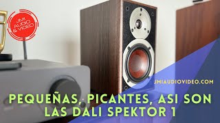 DALI Spektor 1 la bocina ideal para tu oficina jmiaudio bocinas [upl. by Joyann]