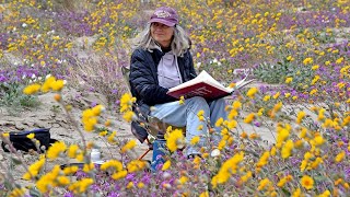 Judi Tentor at Borrego superbloom [upl. by Griselda]