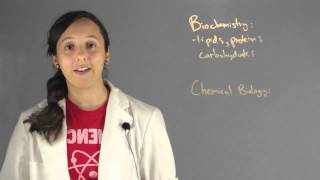 The Difference Between Biochemistry amp Chemical Biology  Chemistry Lessons [upl. by Meldoh]