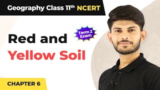 How To Identify Soil Types [upl. by Toh257]