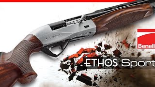 Thrushes birds hunting part 2 Benelli ethos sport [upl. by Shriner507]