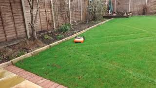 Landroid WR130 first cut to new turf lawn  1 [upl. by Heathcote]