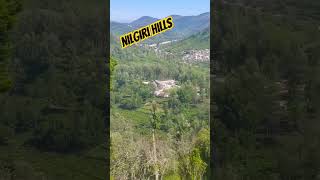 Nilgiri Hills Kotagiri Tamil Nadu youtubeshorts nature travel beautifulsanjugupta [upl. by Dam143]