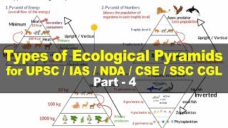 Types of Ecological Pyramids  Energy Biomass Numbers  Environment and Ecology for UPSC Part 4 [upl. by Messing]