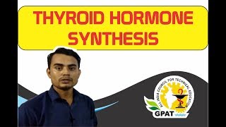 THYROID HORMONE SYNTHESIS  PHARMACOLOGY  GPAT2020  PHARMACIST  DRUG INSPECTOR [upl. by Nezam]