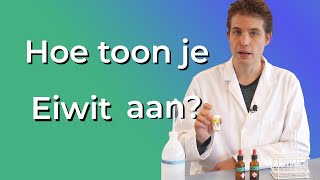 Hoe toon je Eiwitten aan [upl. by Darra378]