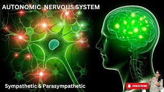 AUTONOMIC NERVOUS SYSTEM  SYMPATHETIC amp PARA SYMPATHETIC NERVOUS SYSTEM  MOLECULAR MYSTERIES [upl. by Marozik563]