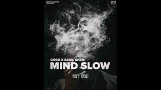 MIND SLOW GOGO X SAHIL KHAN  0172 RECORD PRESENTS   PROD BY 3 AM  2024 [upl. by Dewitt]