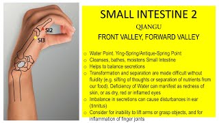 SMALL INTESTINE 2 QIANGU FRONT VALLEY FORWARD VALLEY [upl. by Aramad]