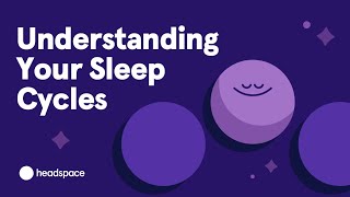 Understanding Sleep Cycles And What To Do When Theyre Disrupted [upl. by Mozart]