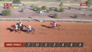 Live Hippodrome « SETTAT »  Courses du « 27012024 » [upl. by Llarret882]