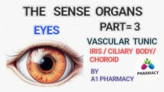 IRIS CILIARY BODY CHOROID  VASCULAR TUNIC  THE SENSE ORGANS 😊 [upl. by Anoiek136]