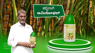 Why should you use Aminofal  Healthy Sugarcane Growth  Farmer Stories [upl. by Foster]