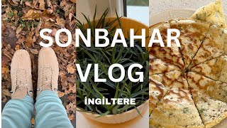 🍁🍂Sonbahar Günlükleri Vlog Ingiltere  Evde bir haftasonum günlükvlog vlog yurtdisindayasam [upl. by Neyuh]